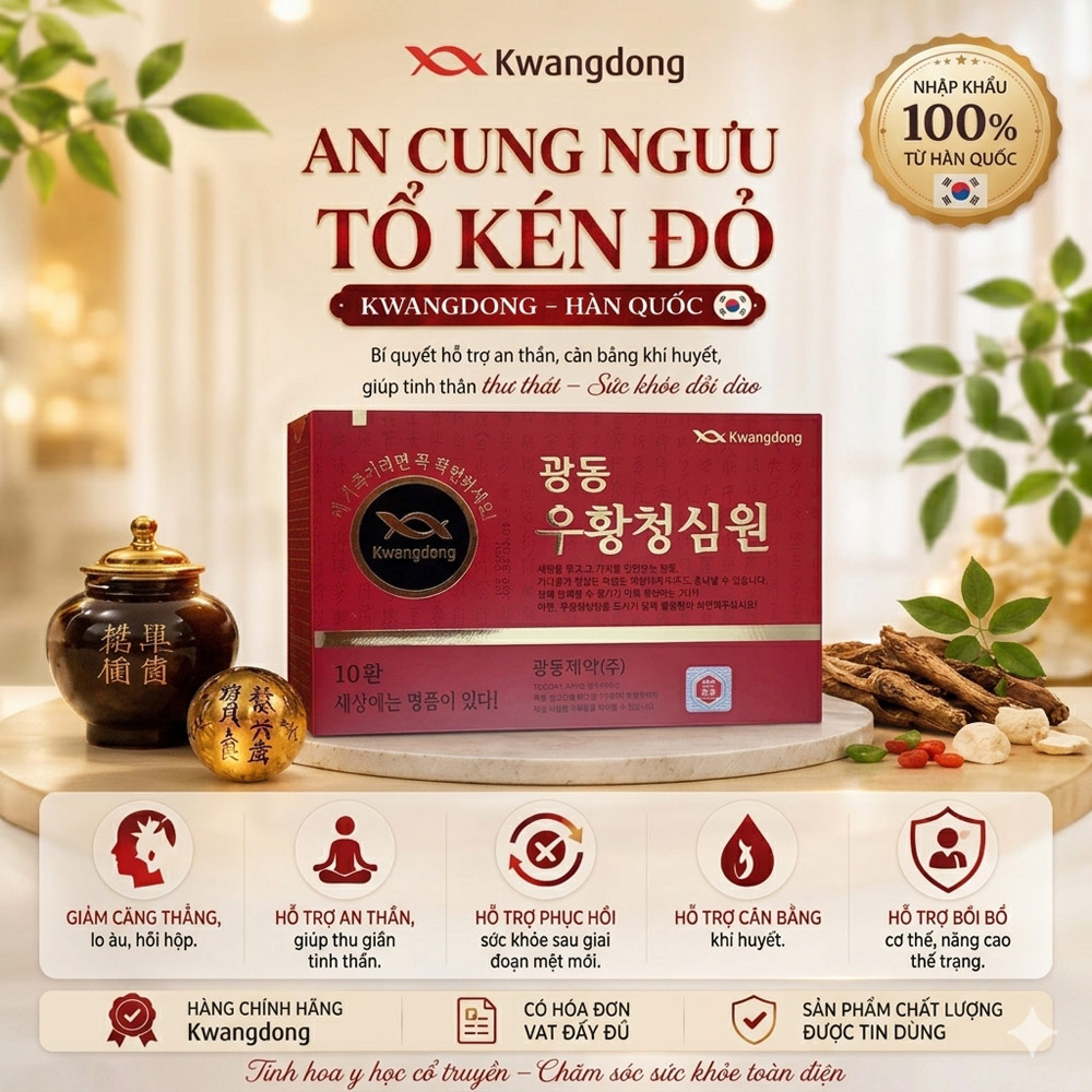An cung ngưu hoàng hoàn tổ kén đỏ Kwangdong Hàn Quốc 10 viên
