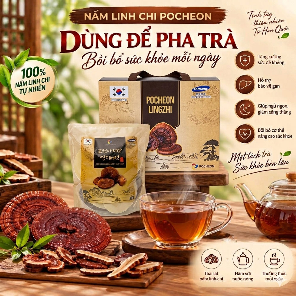 Nấm linh chi đỏ Pocheon Hàn Quốc thượng hạng 1 kg