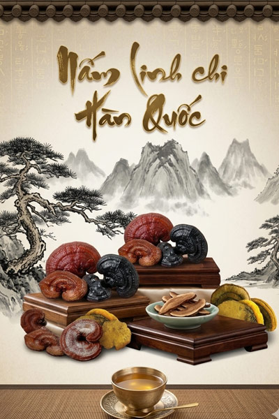 Nấm linh chi Hàn Quốc